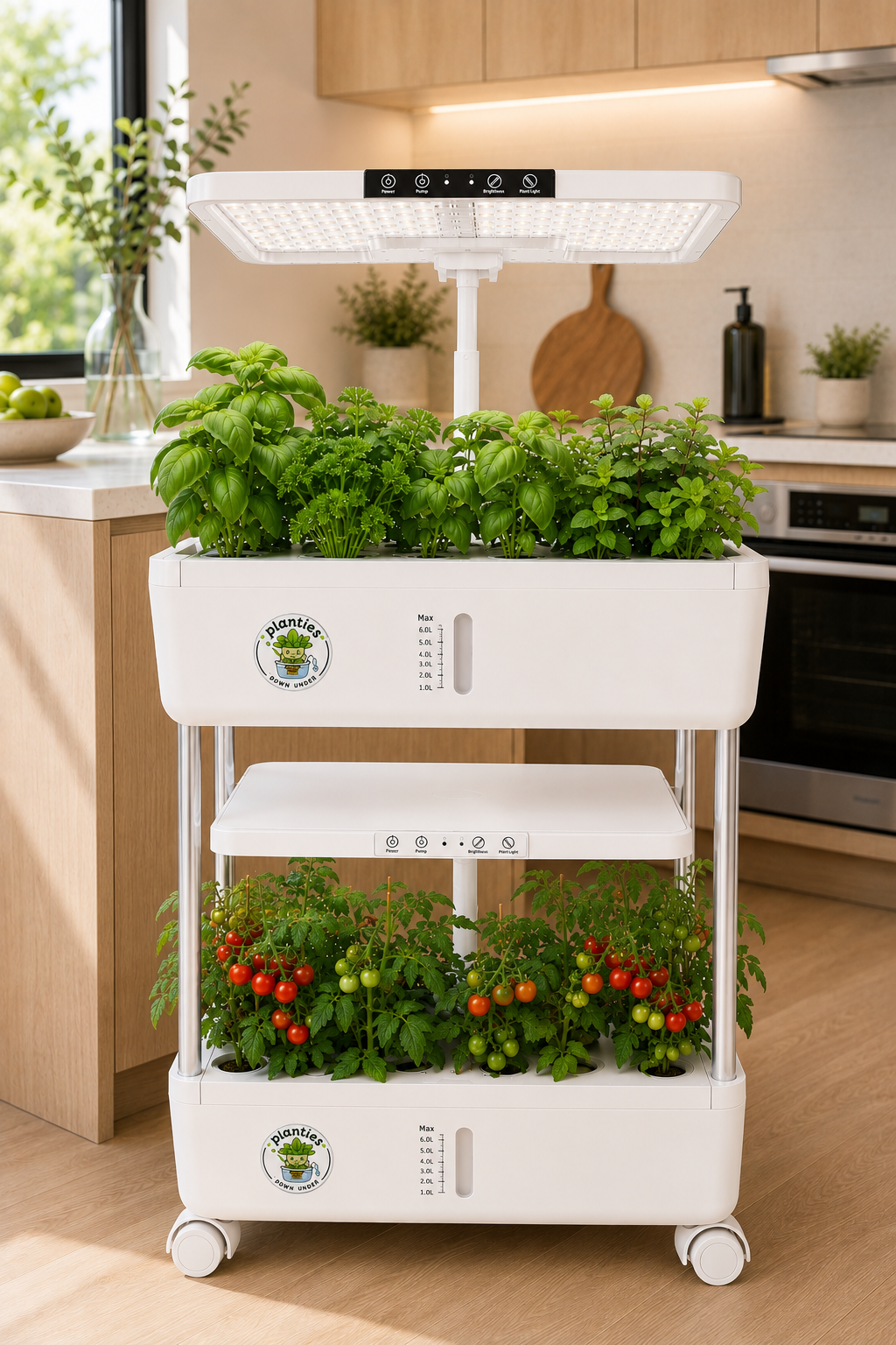 'Big Kev' Multi Tier Hydroponic System