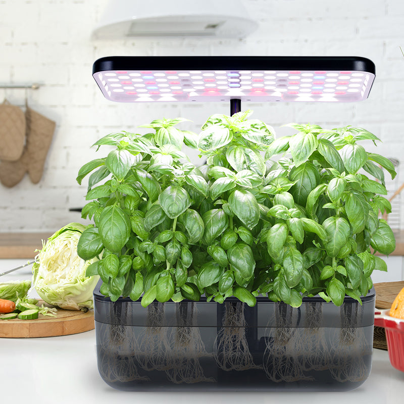'Ernie' Hydroponic Growing System