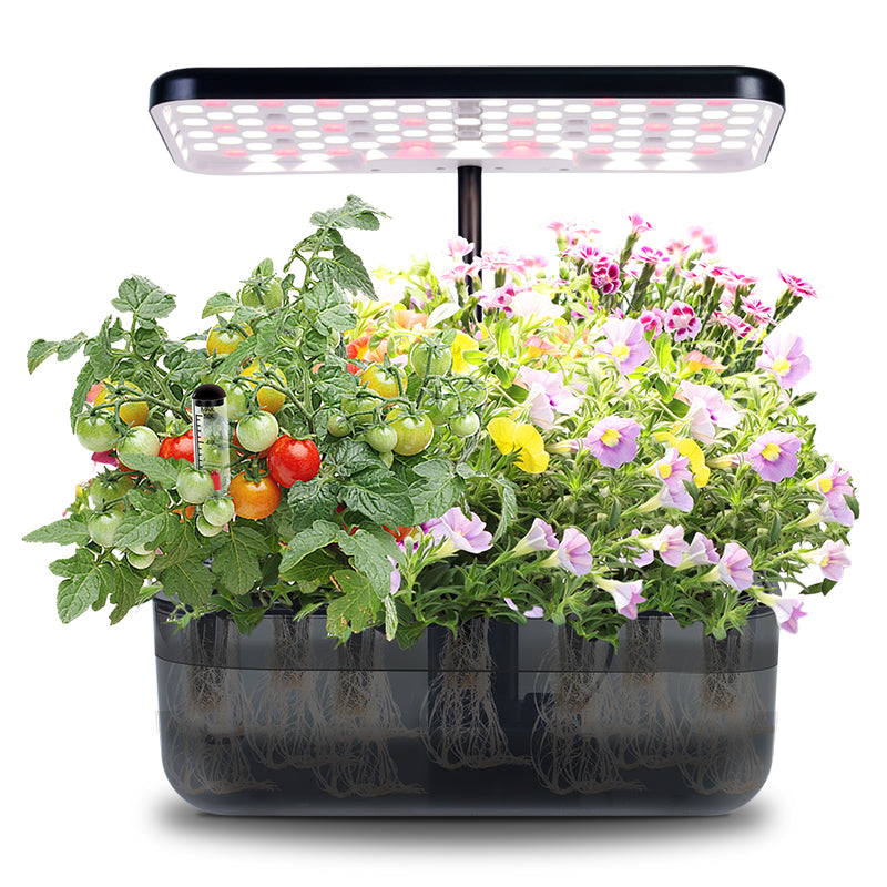 'Ernie' Hydroponic Growing System