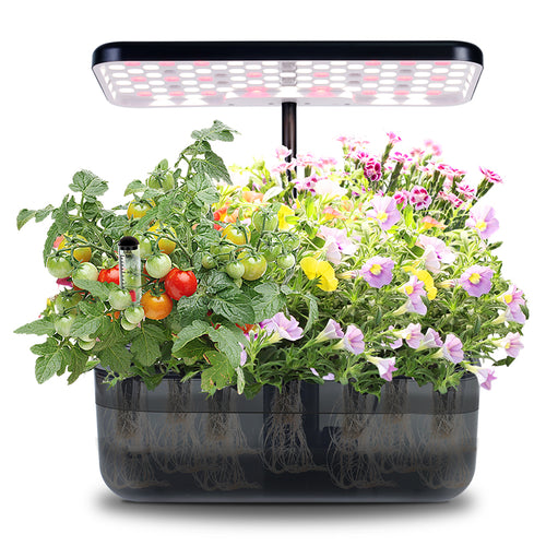 'Ernie' Hydroponic Growing System