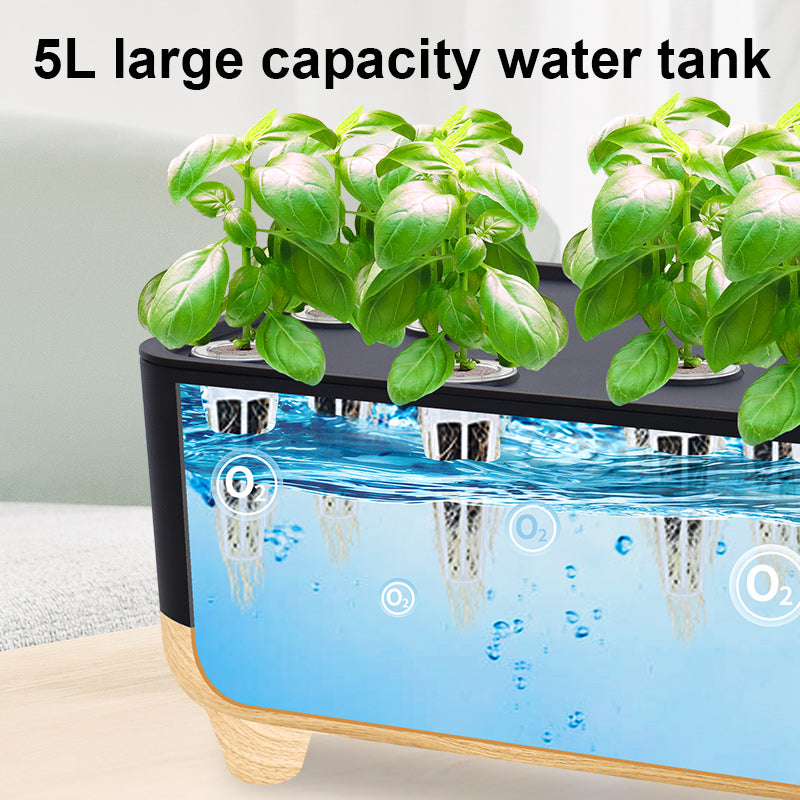 'Matilda' Hydroponic Growing System