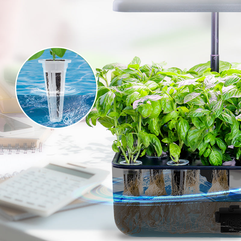 'Ernie' Hydroponic Growing System