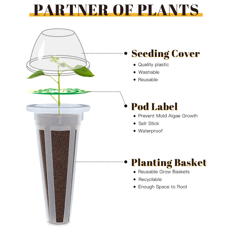 'Ernie' Hydroponic Growing System