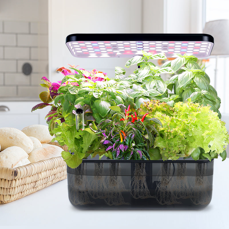 'Ernie' Hydroponic Growing System