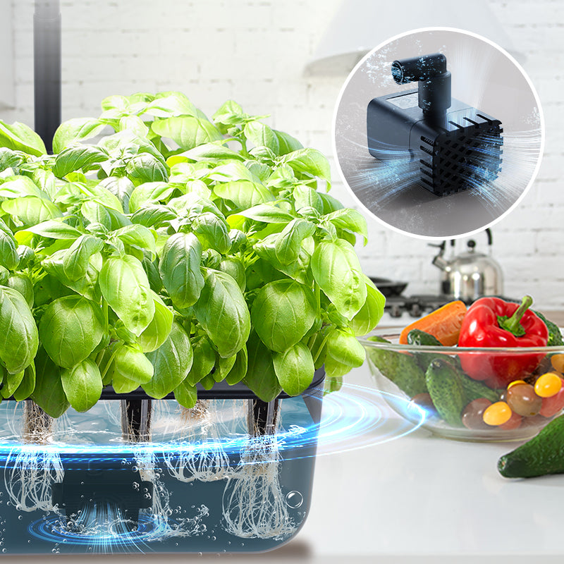 'Ernie' Hydroponic Growing System