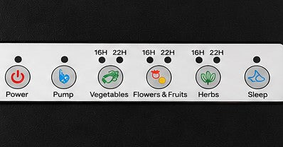 'Margy' Hydronic Growing System