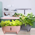 Grey Hydroponic System