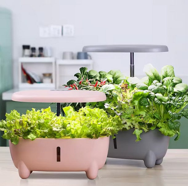 Grey Hydroponic System
