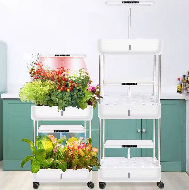 Multi Tier Hydroponic System