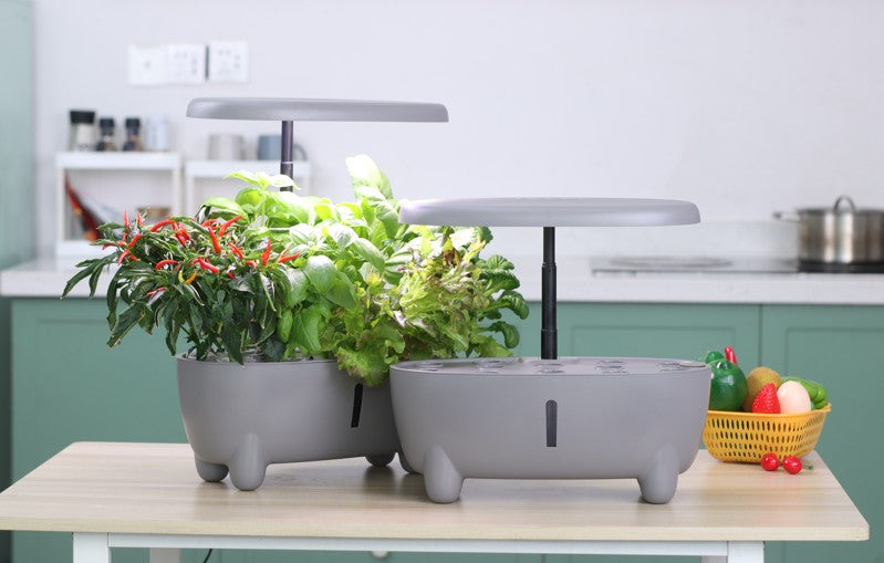Grey Hydroponic System