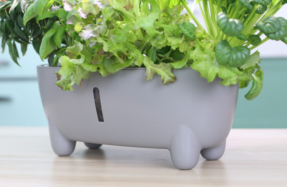 Grey Hydroponic System