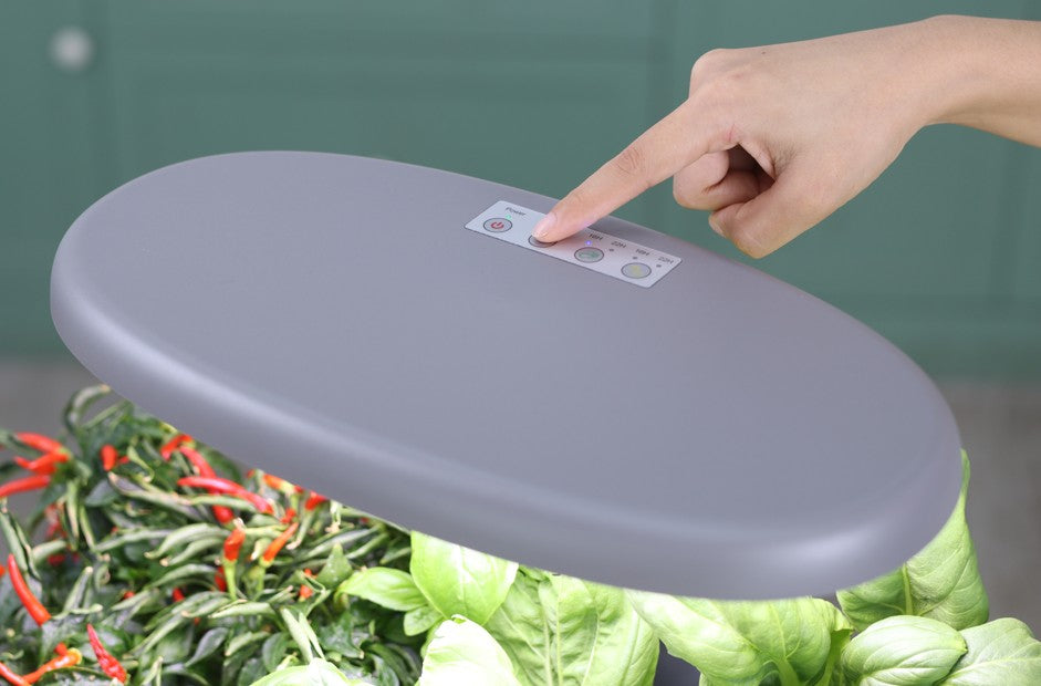 Grey Hydroponic System