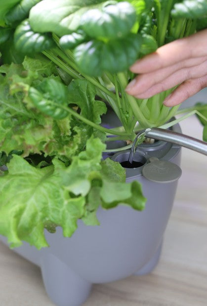 Grey Hydroponic System