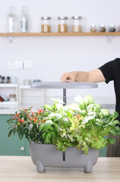 Grey Hydroponic System