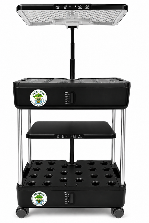 'Big Kev' Multi Tier Hydroponic System