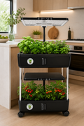 'Big Kev' Multi Tier Hydroponic System