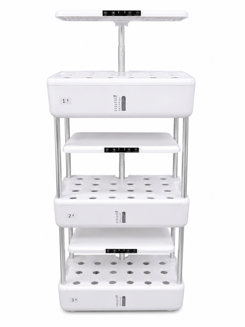 'Big Bob' Multi Tier Hydroponic System
