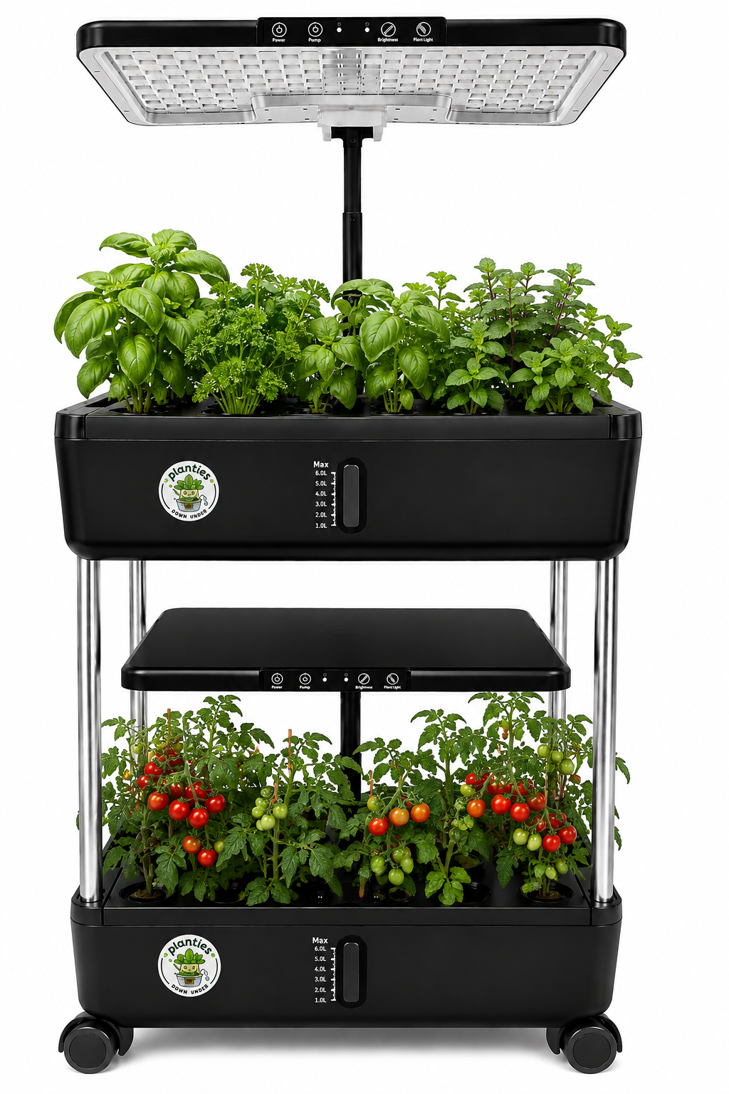 'Big Kev' Multi Tier Hydroponic System