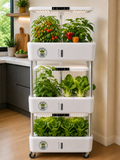 'Big Bob' Multi Tier Hydroponic System